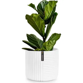 Fox & Fern Fox&Fern 25 Ø x 24 cm Weiß