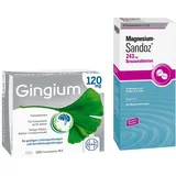 Gingium 120 mg Fta 120 stk + Magnesium Sandoz 243 mg Bta 40 stk