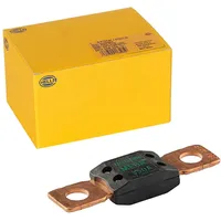 Hella 8JS 742 902-081 Sicherung