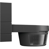 Busch-Jaeger 220 MasterLINE Fotozellensensor Kabelgebunden Wand Schwarz