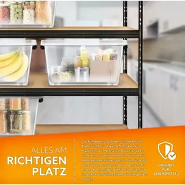 tillvex Aufbewahrungsbox 13 l 6-tlg. transparent/schwarz
