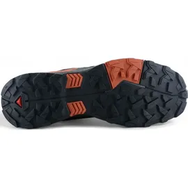 Salomon Herren X Ultra 5 GTX Schuhe (Größe 42, grau)