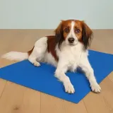 Kühlmatte XXL 120x80cm Pro Stück