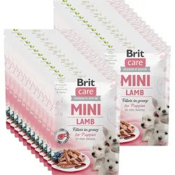 BRIT CARE Mini-Lammfilets in Bratensoße für Welpen 24x85g (Mit Rabatt-Code BRIT-5 erhalten Sie 5% Rabatt!)