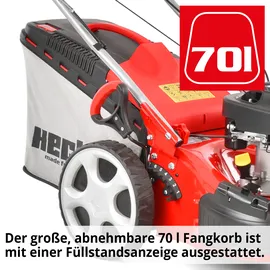 Hecht 551 SX