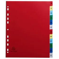 Exacompta 92E 20x Farbige Register aus PP, 12-teilig, für DIN A4+ - Farben sortiert