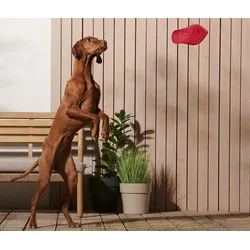 Tchibo - Hunde-Wurfscheibe - rot