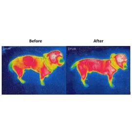 Bucas Therapy Dog Rug - 55 cm