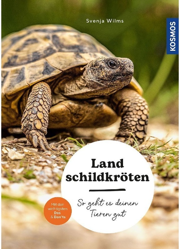 Landschildkröten - Svenja Wilms, Kartoniert (TB)