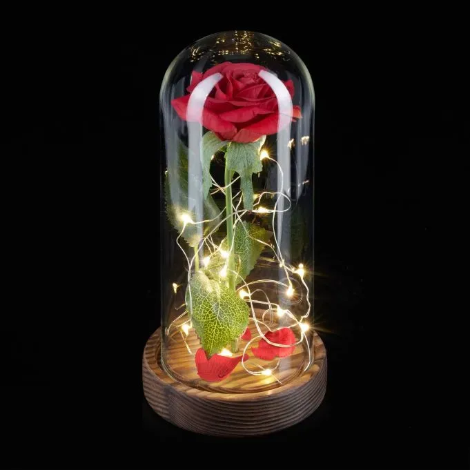 Relaxdays Ewige Rose im Glas mit Licht Dunkelbraun,Dunkelgrün,Rot