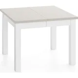 WFL GROUP Esszimmertisch 100 x 77 x 100 cm beige