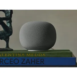 Google Home Speaker grau