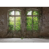 Livingwalls Fototapete Designwalls Old Window glatt, (5 St), grau Grün 3,50 m x 2,55 m FSC®