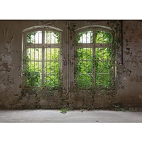 Livingwalls Fototapete Designwalls Old Window glatt, (5 St), grau Grün 3,50 m x 2,55 m FSC®