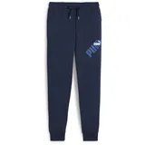 Puma Unisex Power Graphic Sweatpants Tr Cl Strickhose