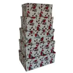 Weihn.Geschenkkarton Vögel 41750   5tlg Hoch