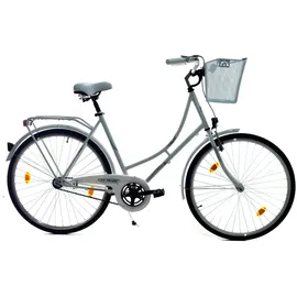 T&Y Trade 28 Zoll Damen Holland Fahrrad Bike CITYFAHRRAD DAMENFAHRRAD HOLLANDFAHRRAD HOLLANDRAD Rücktrittbremse 1 Gang Beleuchtung STVO Rücktritt Enur Weiß