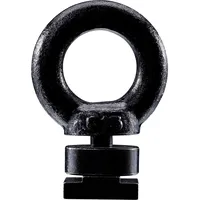 Thule Caprock eye bolt kit