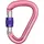 Beal Be Safe Karabiner Matt Pink