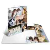 Herma Sammelmappe A4 Hunde