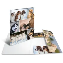 Herma Sammelmappe A4 Hunde