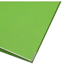 Leitz Vollpapier-Ordner DIN A4 50 mm hellgrün 1 St.