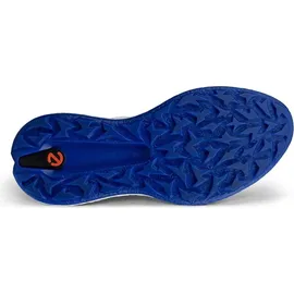ECCO Biom H5 Herren Weiß/Blau 42