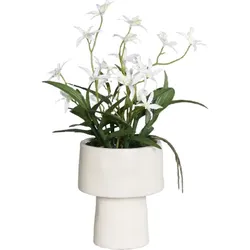 Orchideen Arrangement