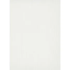 Erismann Strukturtapete 53 cm 10,05 m2 Weiß 10133-01
