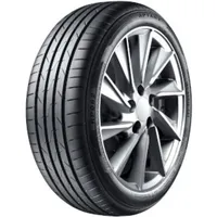 Aptany RP062 205/55 R16 91W