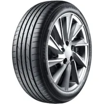 Aptany RP062 205/55 R16 91W