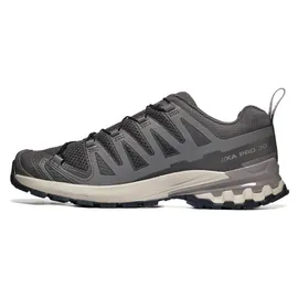 Salomon XA Pro 3D V9 Herren Dark Gull Gray / Cloudburst 44