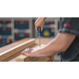 Bosch Torx-Schraubendreher Set 6-tlg. TX