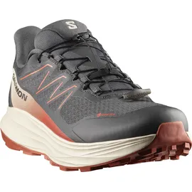 Salomon ALPHARIDE 2 Herren Asphalt/Arabian Spice/Rainy Day 44,5