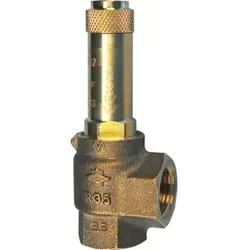Riegler Eck-Sicherheitsventil, Sattdampf, G 1, Ansprechdruck 0,5 bar
