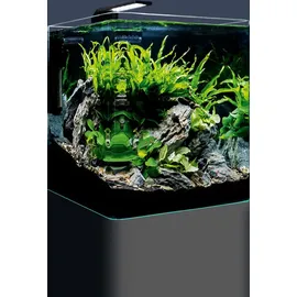 Dennerle Nano Cube Basic, 30 L