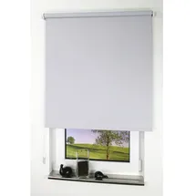 LIEDECO Seitenzugrollo Uni 62 x 180 cm verdunkelnd hellgrau