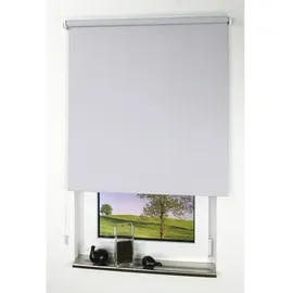 LIEDECO Seitenzugrollo Uni 62 x 180 cm verdunkelnd hellgrau
