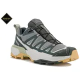Salomon X Ultra 360 Edge Gore-Tex Herren grau