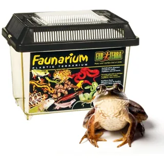 Exo Terra Faunarium Groß