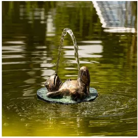 esotec Wasserspeier Treibender Frosch auf Seerosenblatt