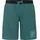 Protest Garrix JR Badeshorts Blau/Grau 152