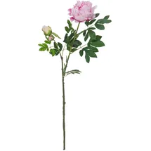 Europalms Pfingstrosenzweig Premium, pink, 100cm
