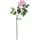 Europalms Pfingstrosenzweig Premium, pink, 100cm