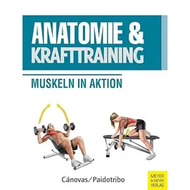 Meyer & Meyer Anatomie & Krafttraining: