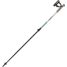 Leki Spin Shark SL 100-130 cm silbergrau