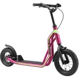 Star Scooter Roller 10/12 Zoll Mixed beere