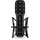 RØDE Microphones RØDE X XDM-100 Professionelles dynamisches USB-Mikrofon und virtuelle Mixing-Lösung für Streamer und Gamer