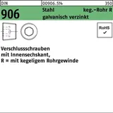 Hörger & Geßler Verschlußschraube DIN 906 R 1 Stahl galvanisch verzinkt 25 Stück