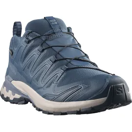 Salomon XA Pro 3D V9 GTX Herren Spellbound/Grisaille/Maritime Blue 43 1/3